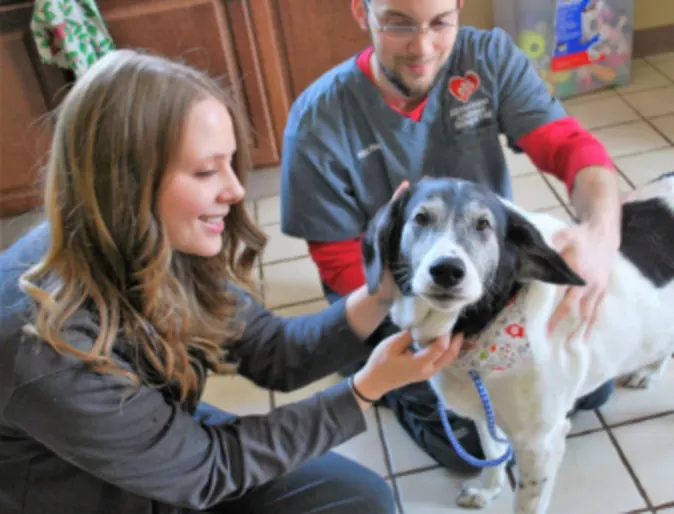 Two veterinarians with a dog